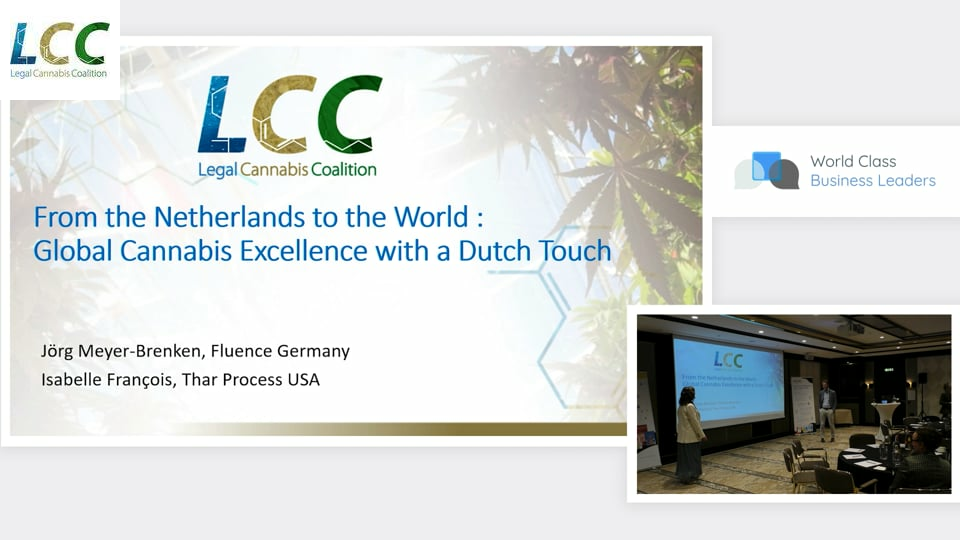 From the Netherlands to the World: Global Cannabis Excellence with a Dutch Touch