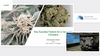 Key Success Factors for a Cannabis Company