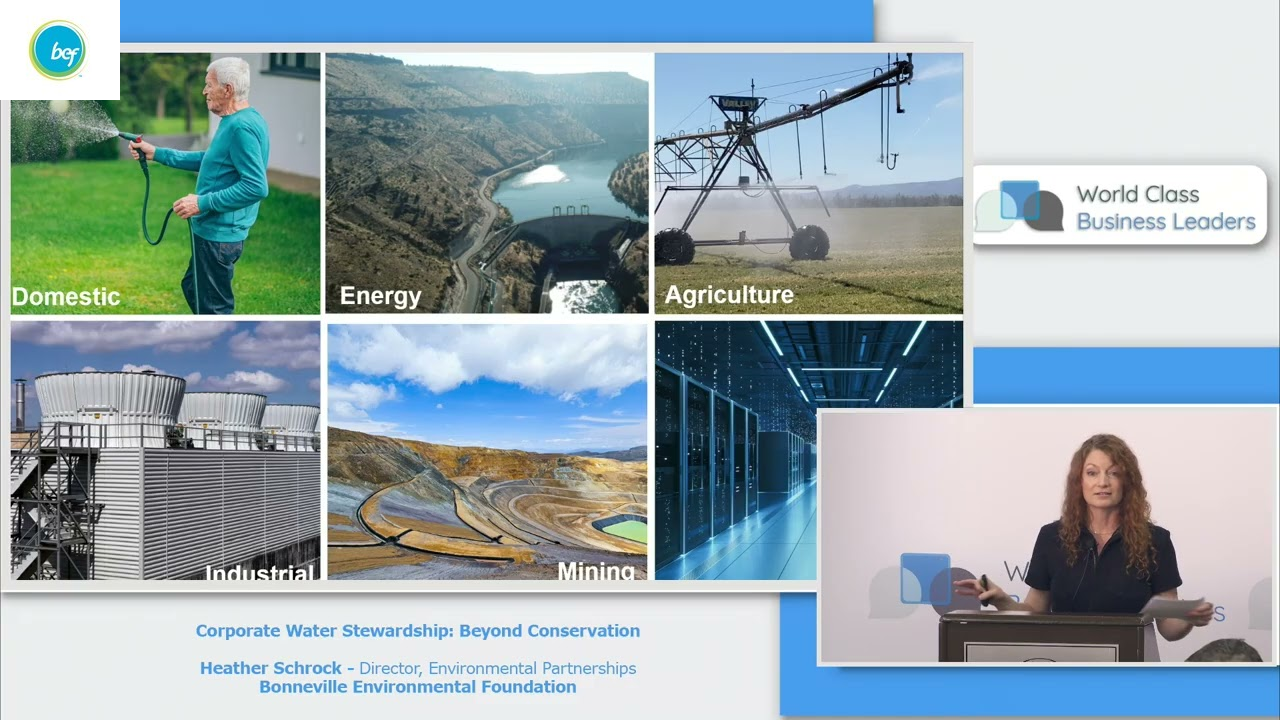 Corporate Water Stewardship: Beyond Conservation