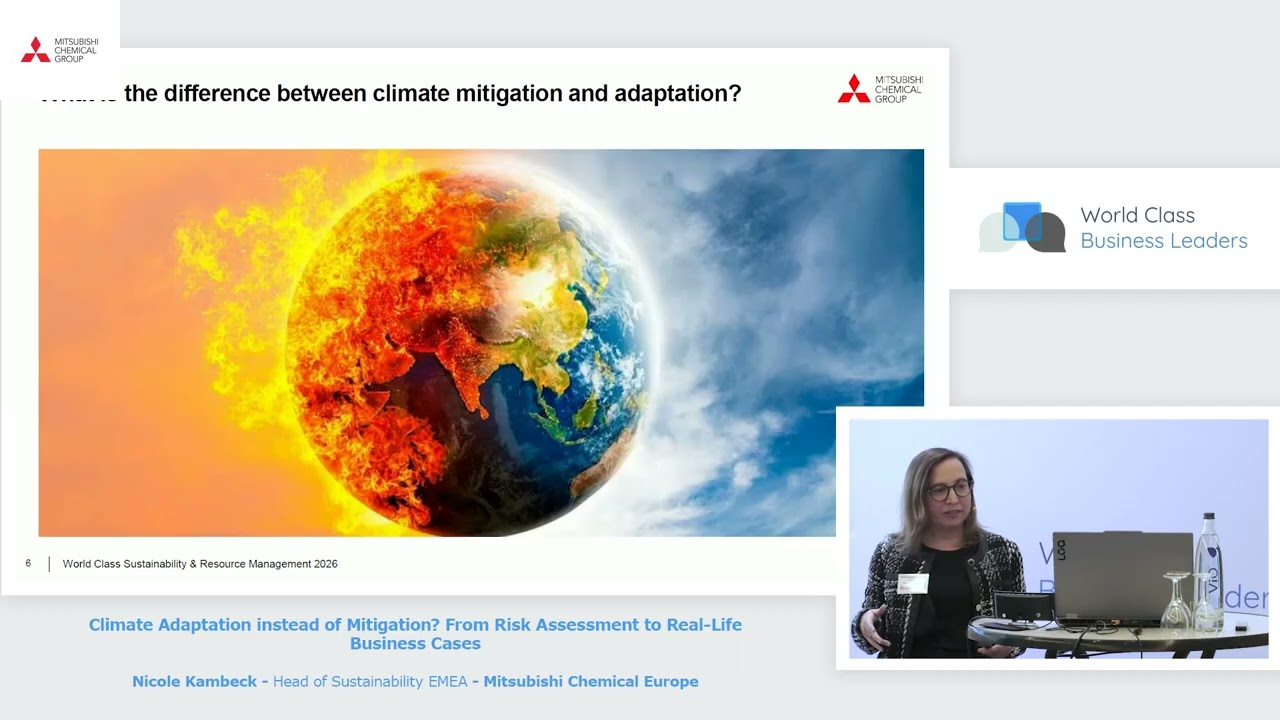 Climate Adaptation Instead of Mitigation? From Risk Assessment to Real-Life Business Cases