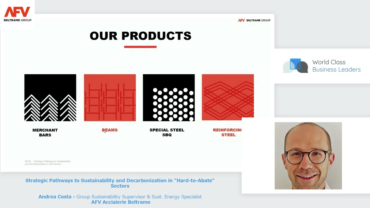 Strategic Pathways to Sustainability and Decarbonization in "Hard-to-Abate" Sectors