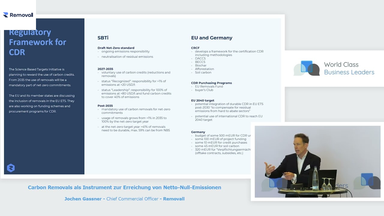 Carbon Removals als Instrument zur Erreichung von Netto-Null-Emissionen