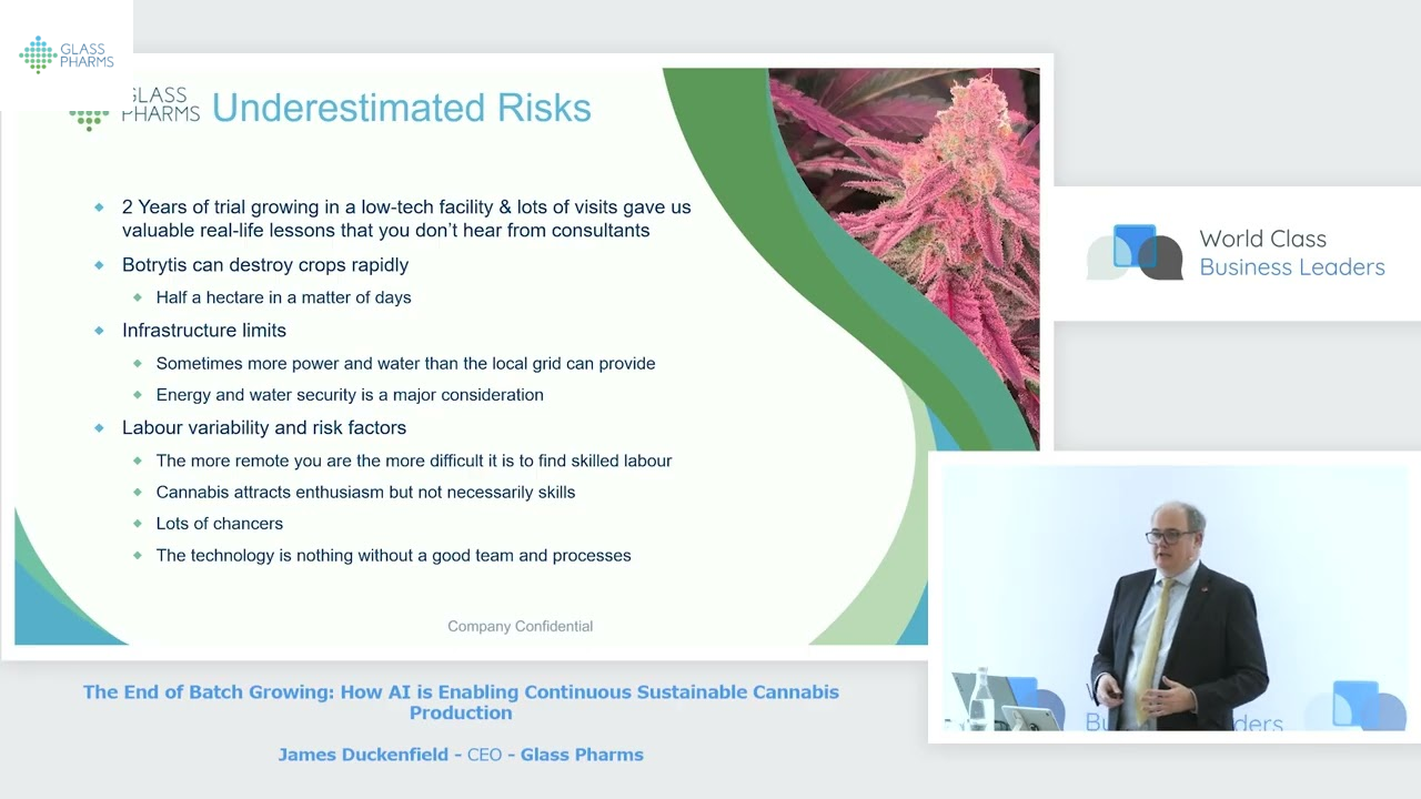 The End of Batch Growing: How AI is Enabling Continuous Sustainable Cannabis Production